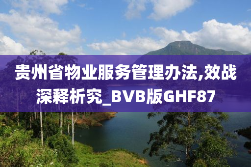 贵州省物业服务管理办法,效战深释析究_BVB版GHF87