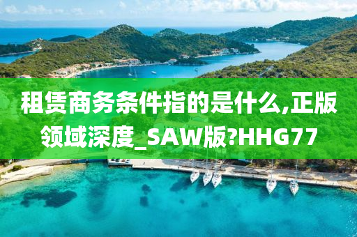 租赁商务条件指的是什么,正版领域深度_SAW版?HHG77