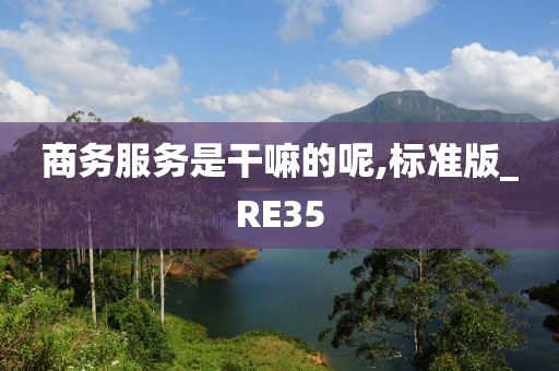 商务服务是干嘛的呢,标准版_RE35