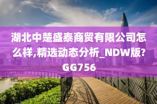 湖北中楚盛泰商贸有限公司怎么样,精选动态分析_NDW版?GG756