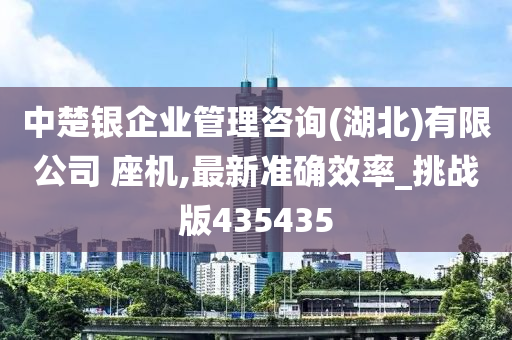 中楚银企业管理咨询(湖北)有限公司 座机,最新准确效率_挑战版435435