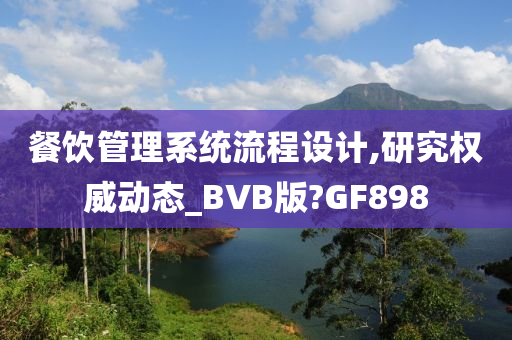 餐饮管理系统流程设计,研究权威动态_BVB版?GF898