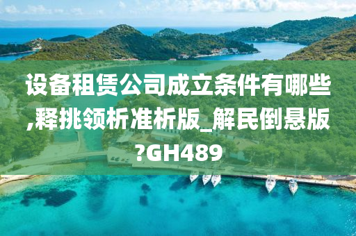 设备租赁公司成立条件有哪些,释挑领析准析版_解民倒悬版?GH489