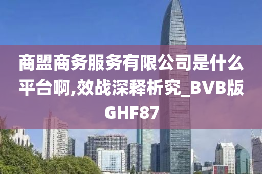 商盟商务服务有限公司是什么平台啊,效战深释析究_BVB版GHF87