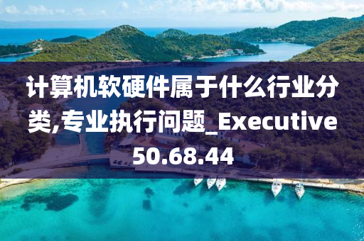 计算机软硬件属于什么行业分类,专业执行问题_Executive50.68.44