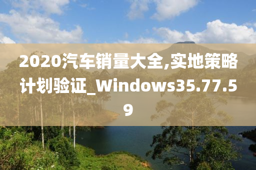 2020汽车销量大全,实地策略计划验证_Windows35.77.59