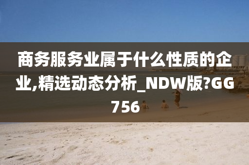 商务服务业属于什么性质的企业,精选动态分析_NDW版?GG756